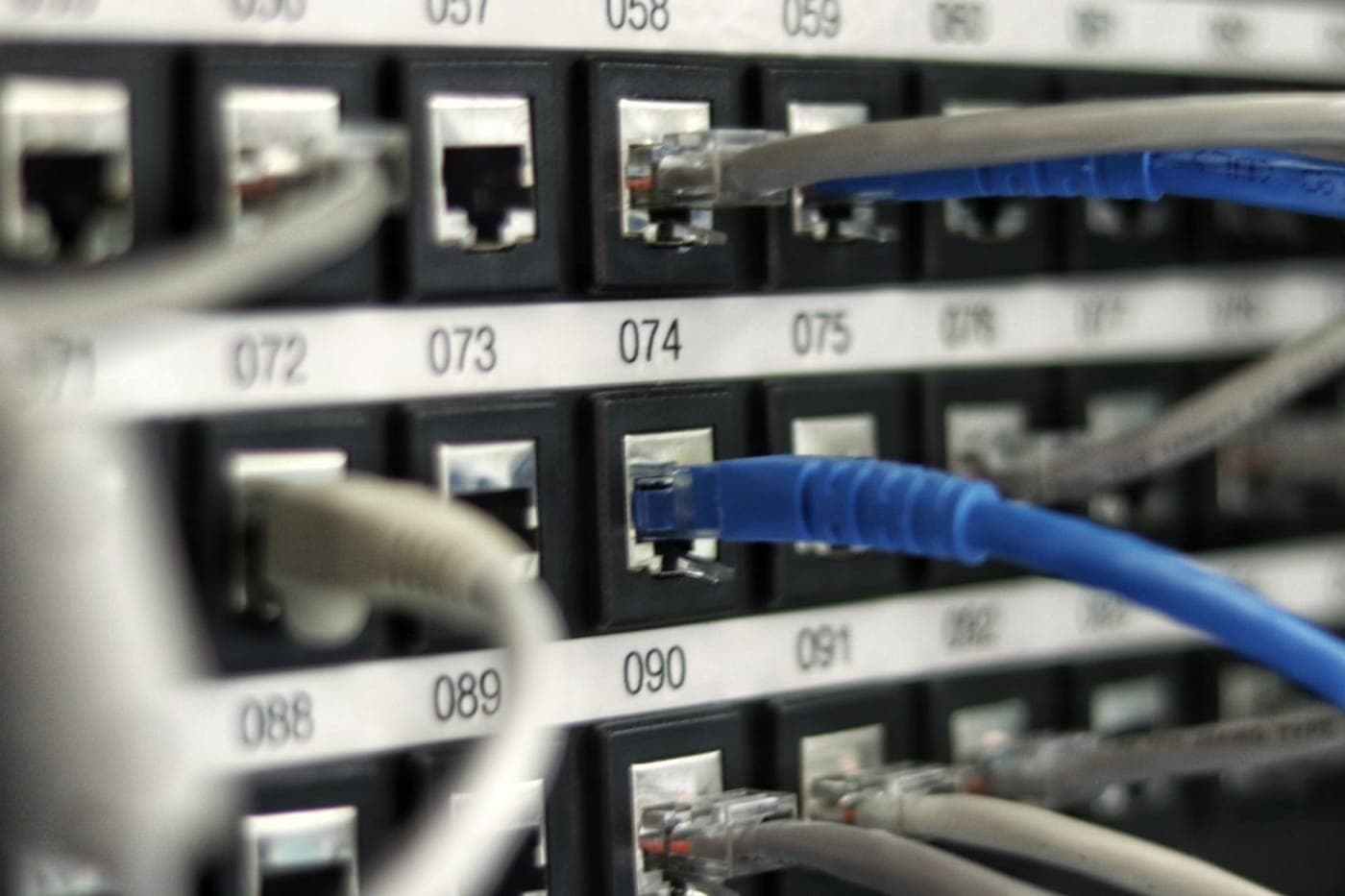 Close-up of a network patch panel with blue and grey ethernet cables in numbered ports