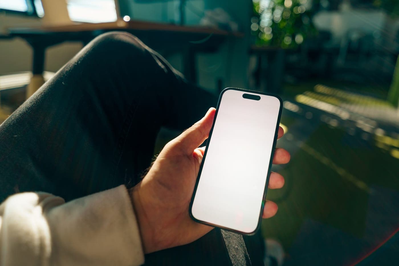 Hand holding a smartphone with a blank screen in a warm sunlit interior with green foliage behind