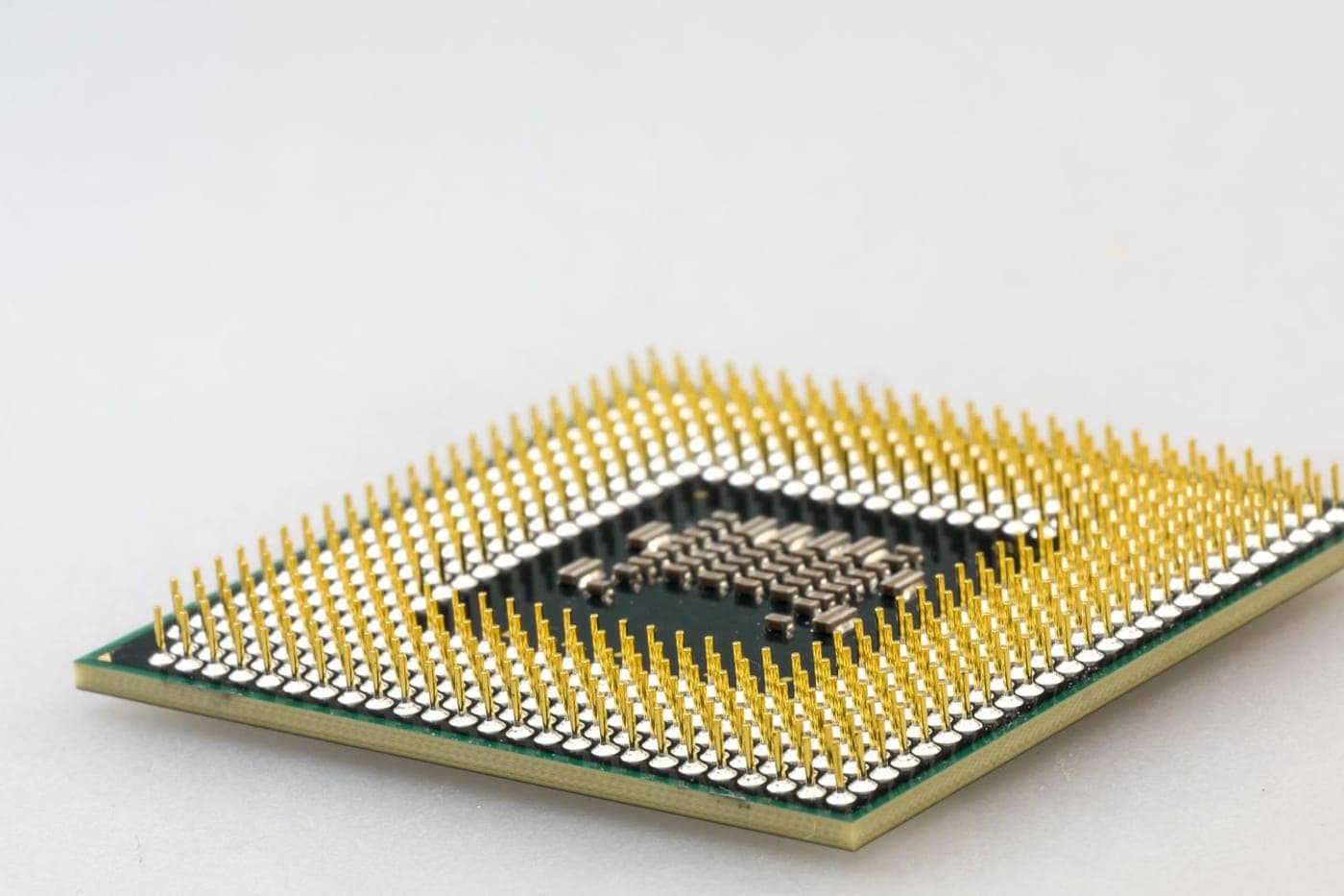 Macro of a CPU processor with gold pins on a soft white background