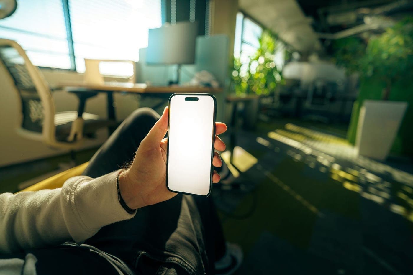 A hand holding a smartphone with a blank screen in a warm, plant-filled office