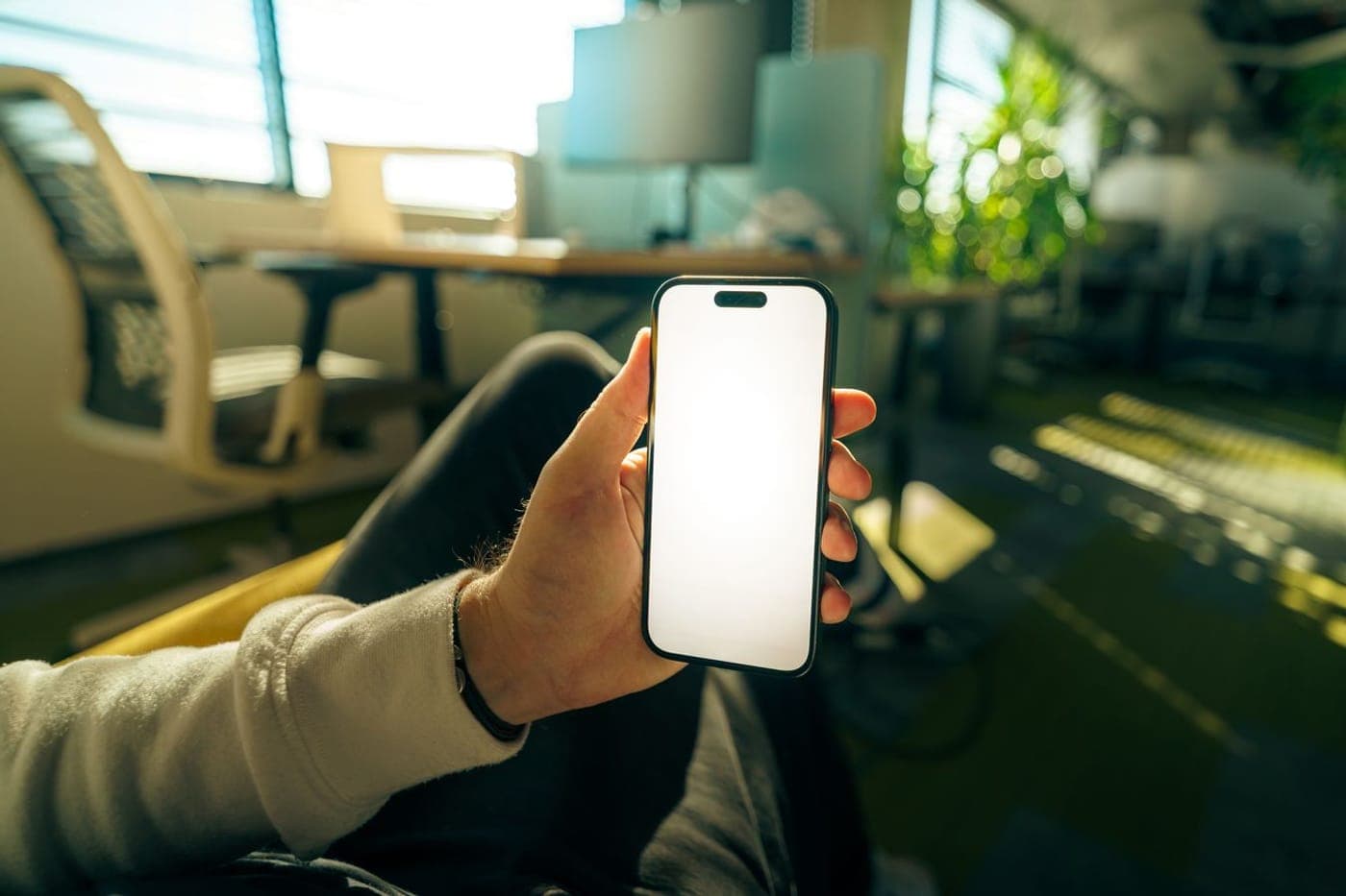 Hand holding a phone with a blank white screen in a sunlit plant-filled office