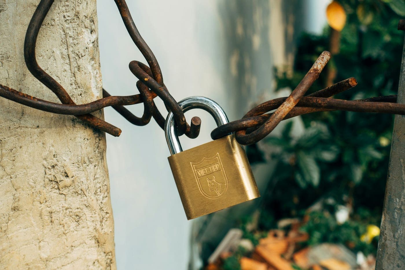 Brass padlock securing a rusted chain against a stone wall with green foliage behind