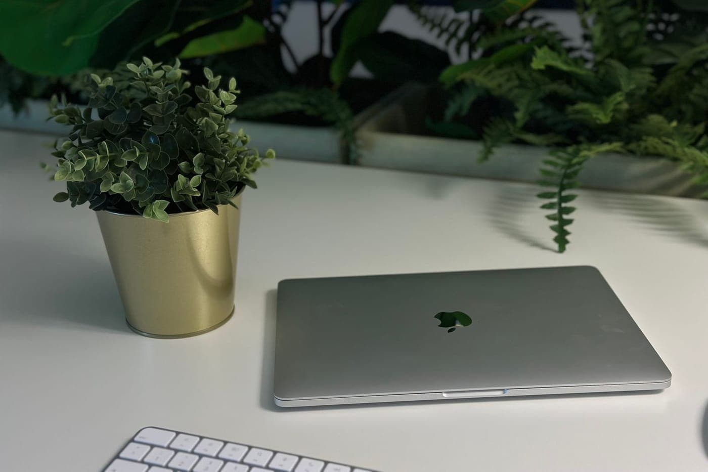 Minimal white desk with a closed laptop and a potted green plant in front of lush foliage